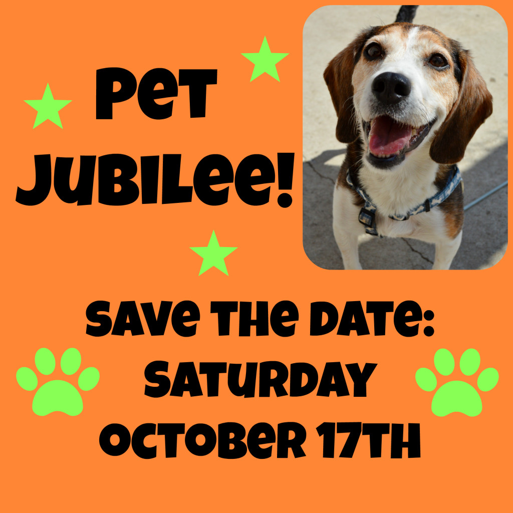 Pet Jubilee Save the Date
