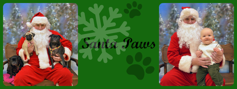 Santa Paws FB Event Header