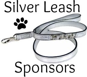 Silver Leash Image
