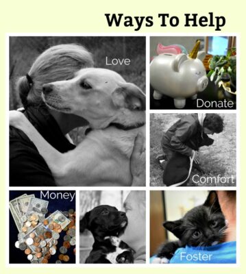 Donate Collage Home Page slider