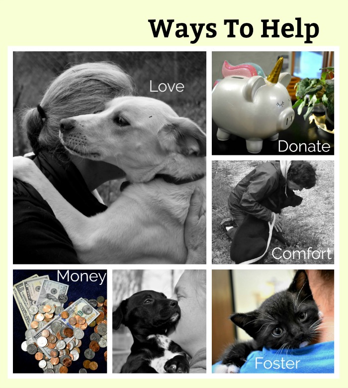 Ways To Help